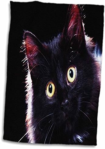 3 Кърпи за котки Drose Florene Cat - С кошачьими очите (twl-62649-1)