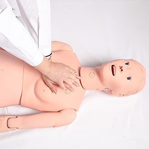 Манекен, умения за учене медицински сестри JYXQC, Анатомическая човешки Модел със Сменяеми нея гениталиите, Многофункционална