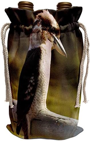 3. Роза Данита Делимон - Птици - Смеющаяся птица Кукабурра, Намбакка-Хедс, Нов Южен Уелс, Австралия-AU01 DWA3688