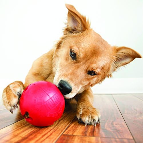CONG - Бисквитный Топка - Здрава Гумена Играчка, За да се раздадат Лакомство - за Големи Кучета