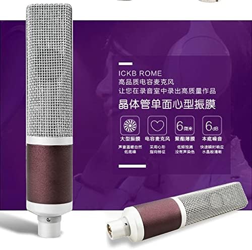 Кондензаторен микрофон от полиестерен филм WIONC За директно излъчване Нискочестотен Напълно чист и лъскав външен микрофон
