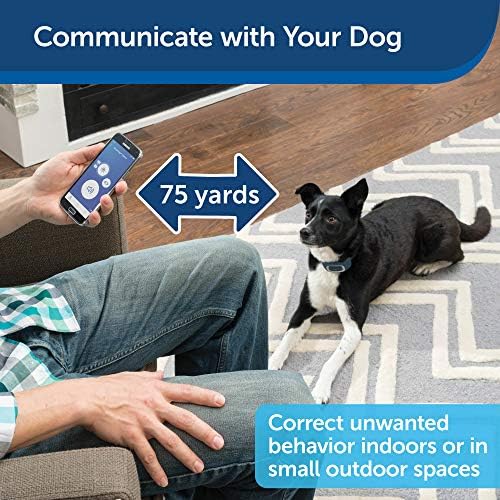 Умен нашийник за дресура на кучета PetSafe – Използва смартфон като преносим дистанционно управление – Звук,