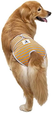 Пере Пелени за кучета Miaododo, за Многократна употреба Розово + Оранжев + Зелен Шарени панталони за кучета
