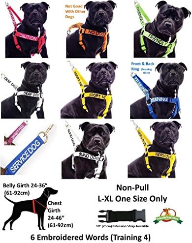 Приятелски Нашийници за кучета Dexil Friendly и С цветна маркировка на Каишка за предотвратяване на инциденти с кучета