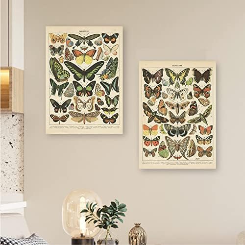 2 Опаковки Ретро Плакат с пеперуда, Стенен Интериор в стил Ретро, Художествена Живопис върху Платно, Без избледняване (11