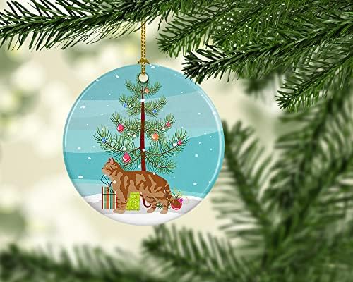 Carolin's Treasures CK4557CO1 Американската Жесткошерстная Котка №2, Керамично Украса с Коледа, Украси за Коледната Елха,